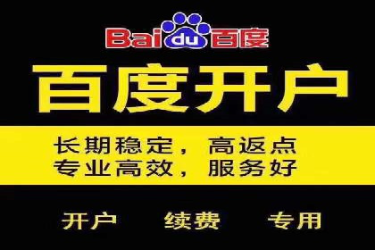 百度推广实战案例：优化广告投放策略